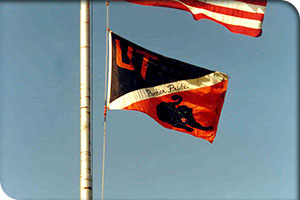 UT Flag